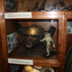 Illustration for article titled A Visit to Weta Workshop
